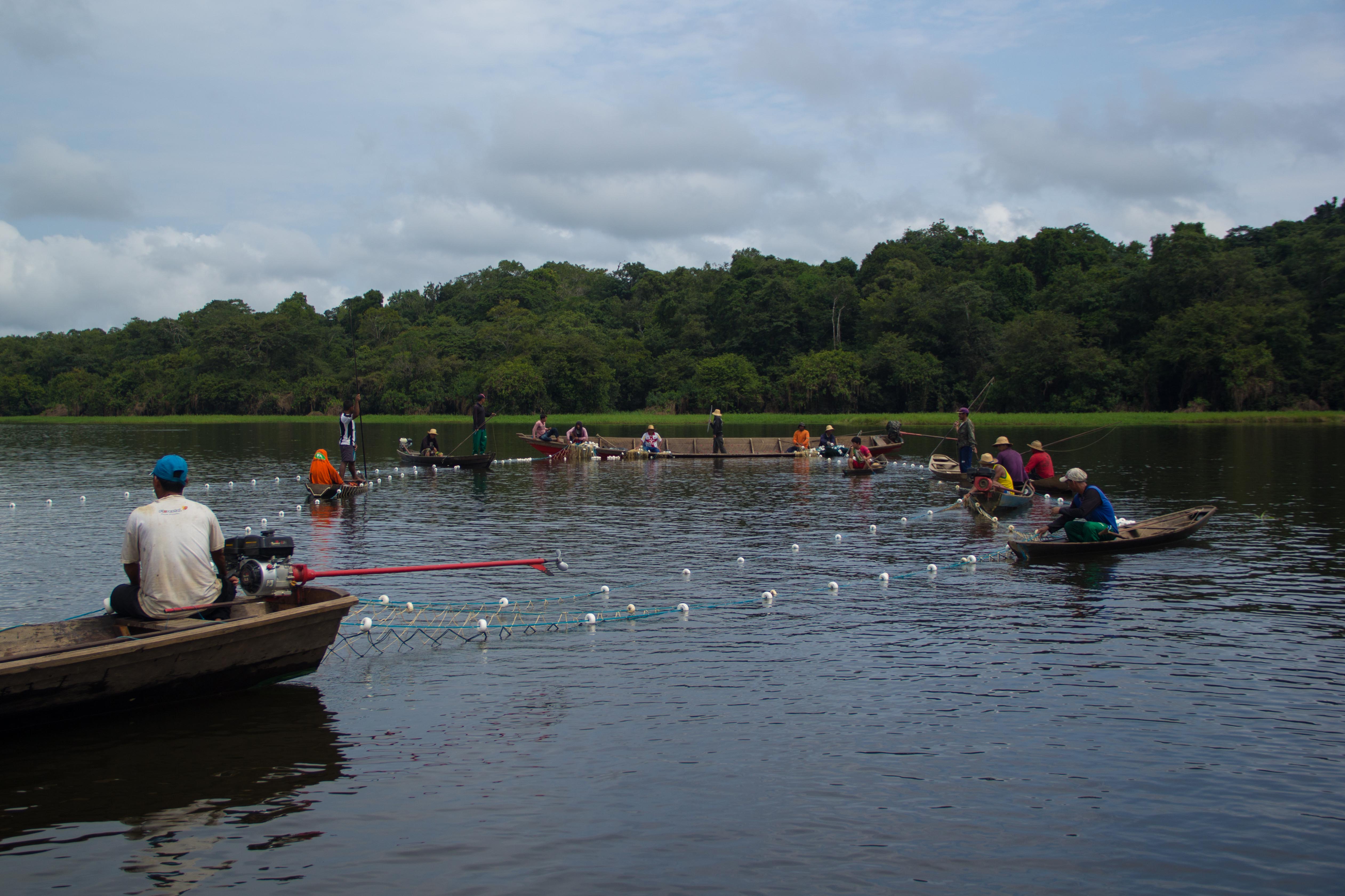 05-11-2014 Manejo de pesca, setor Sao Jose, Reserva Amana - Foto Amanda Lelis-1-12.jpg